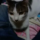 ユーザー画像