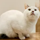 ユーザー画像