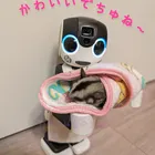 ユーザー画像