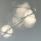 ユーザー画像