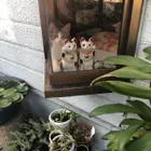 ユーザー画像
