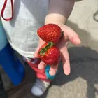 ユーザー画像