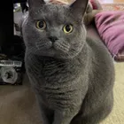 ユーザー画像
