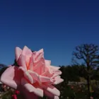 ユーザー画像