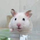 ユーザー画像
