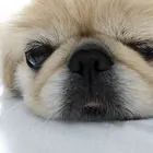 ユーザー画像