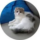 ユーザー画像