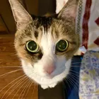 ユーザー画像