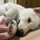 ユーザー画像