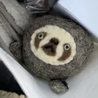 ユーザー画像
