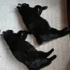 ユーザー画像