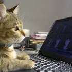ユーザー画像