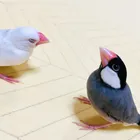 ユーザー画像