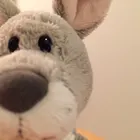 ユーザー画像