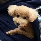 ユーザー画像