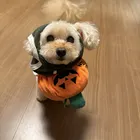 ユーザー画像