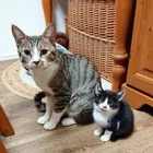 ユーザー画像