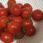ユーザー画像