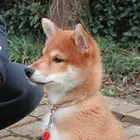 ユーザー画像