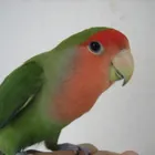 ユーザー画像