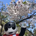 ユーザー画像