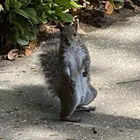 ユーザー画像