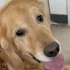 ユーザー画像