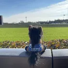 ユーザー画像