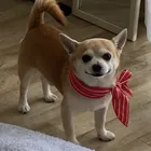 ユーザー画像