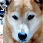 ユーザー画像