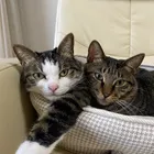 ユーザー画像