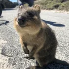 ユーザー画像