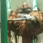 ユーザー画像