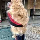ユーザー画像