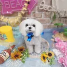 おゆもなち
