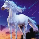 ユーザー画像