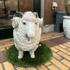 ユーザー画像