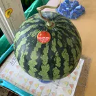 ユーザー画像