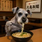 ユーザー画像