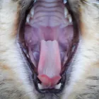 ユーザー画像