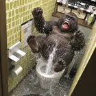 ユーザー画像