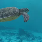 ユーザー画像