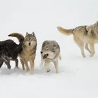 ユーザー画像