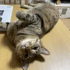 ユーザー画像