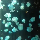 ユーザー画像
