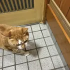 ユーザー画像