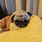 ユーザー画像