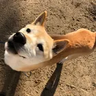 ユーザー画像