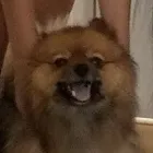 ユーザー画像