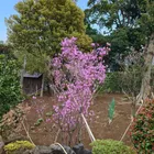 ユーザー画像